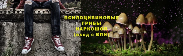 Альфа ПВП Балахна